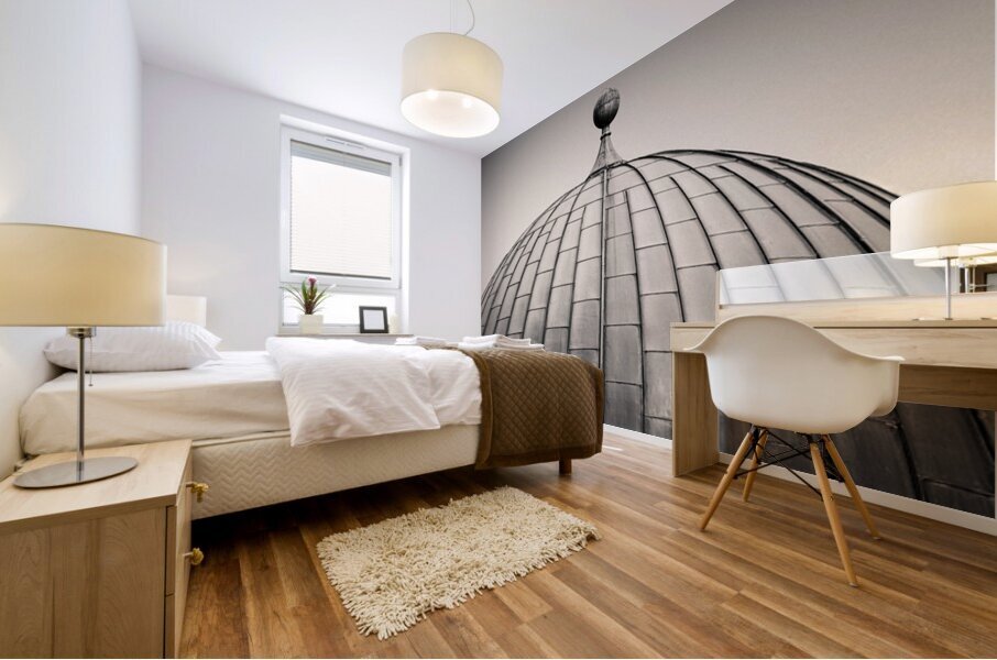 Edinburgh Observatory Dome Mural print