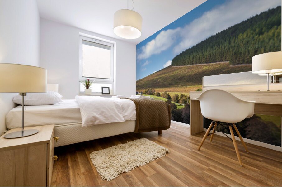 Late Summer in the Cairngorms Mural print