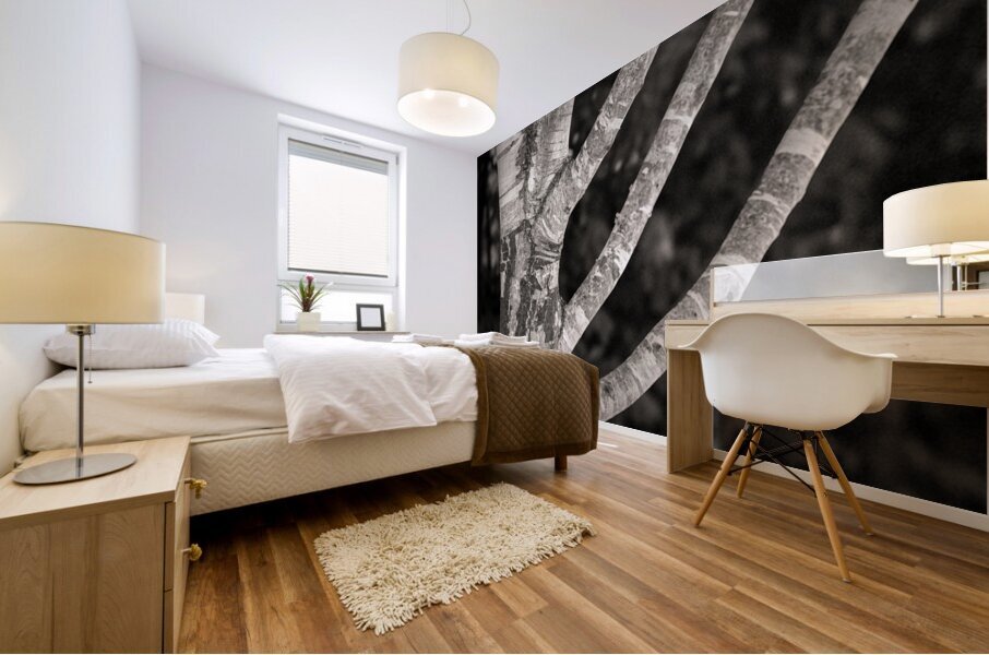 Burghley Birch Tree Mural print