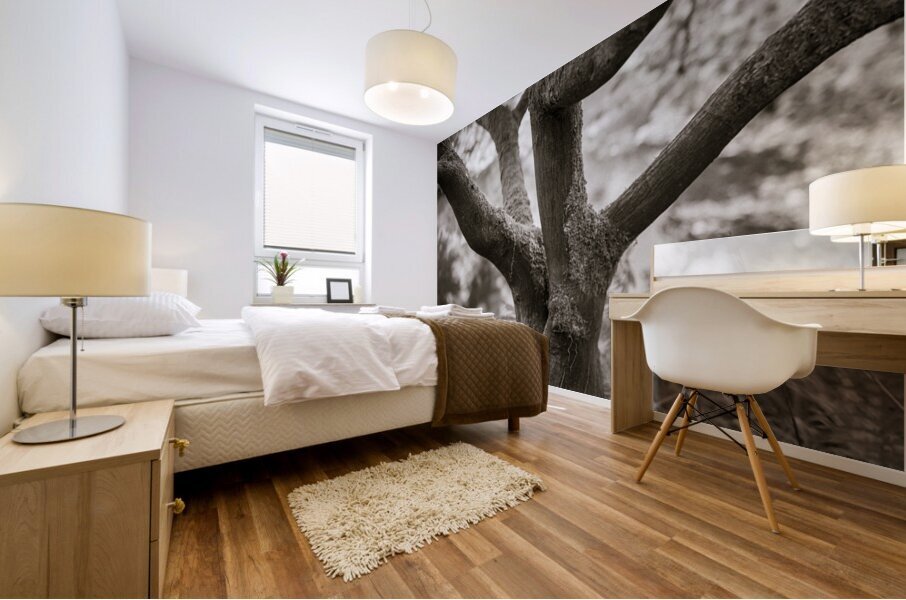 Bodnant Tree Impression murale