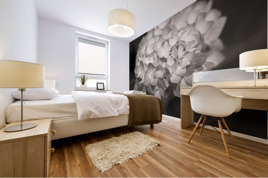 Hydrangea Mural print