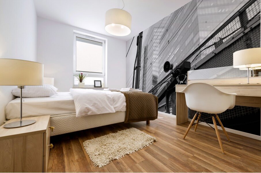 Chiyoda City Crossing Mural print