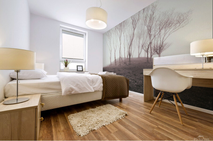 Misty Trees Mural print