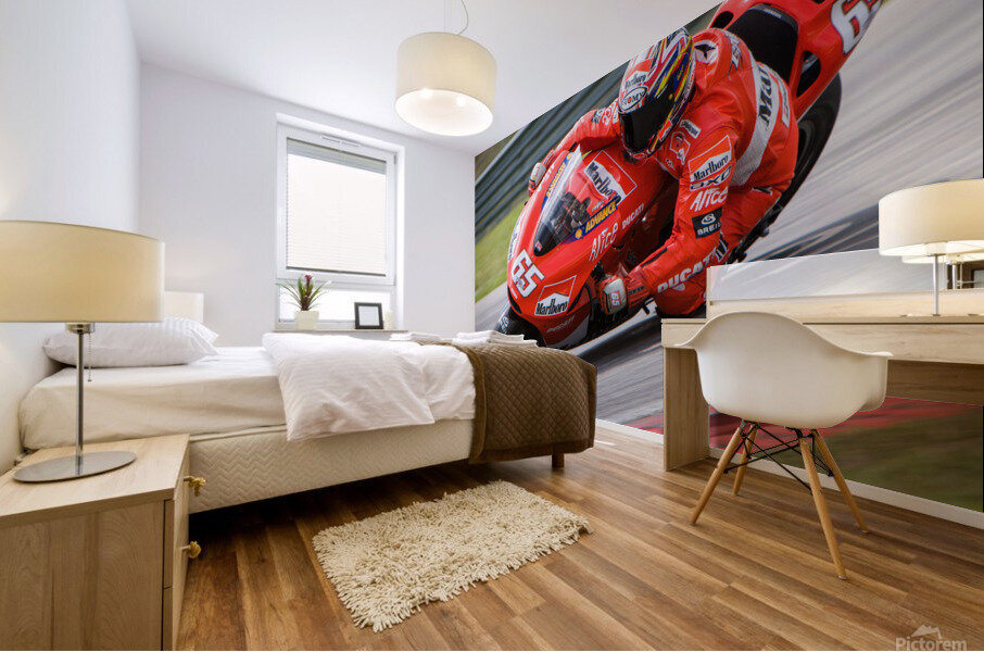 Capirossi Sepang 2006 Mural print