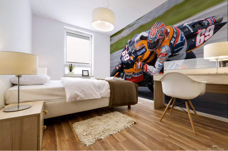 Hayden Sepang 2006 Mural print