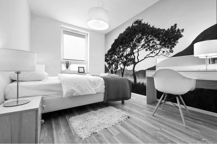 Morning Mist over Crummock Water Mural print