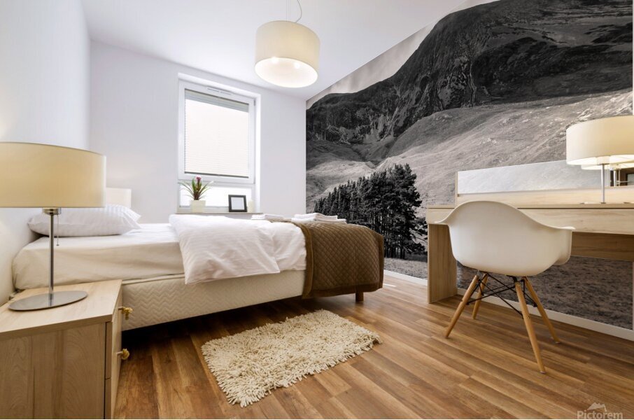 Torridon Trees Mural print