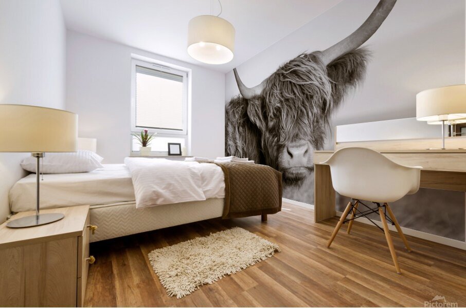 Highland Coo Mural print