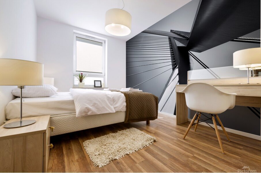 Erasmusbrug Mural print