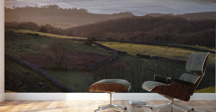 Barmouth View Wall Murals