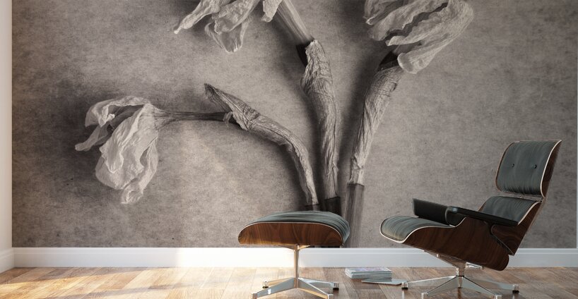 Fading Beauty Wall Murals