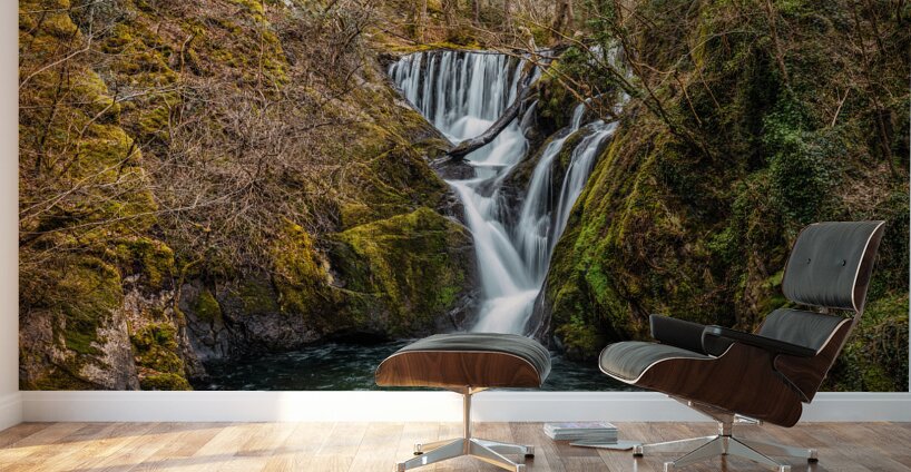 Woodland Waterfall Wall Murals