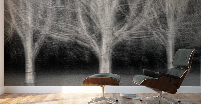 Three Trees Wall Murals