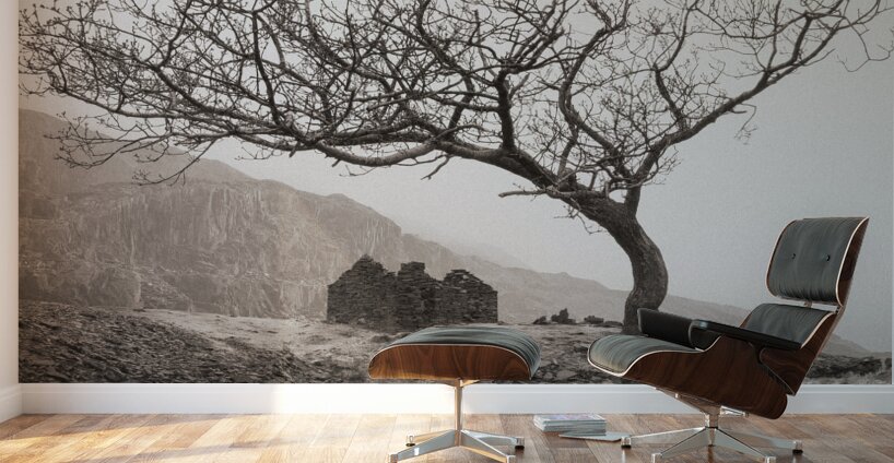 Dinorwic Quarry Ruin Wall Murals