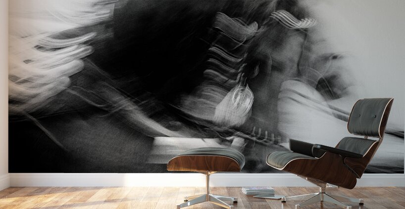 City Horses Wall Murals