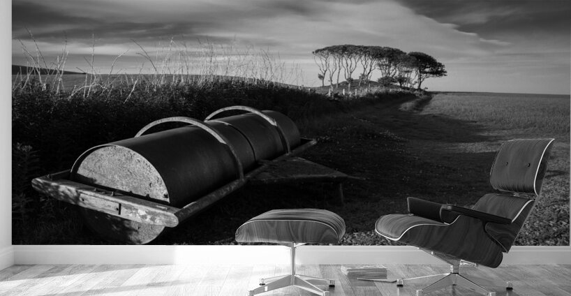 Crawton Field Roller Wall Murals