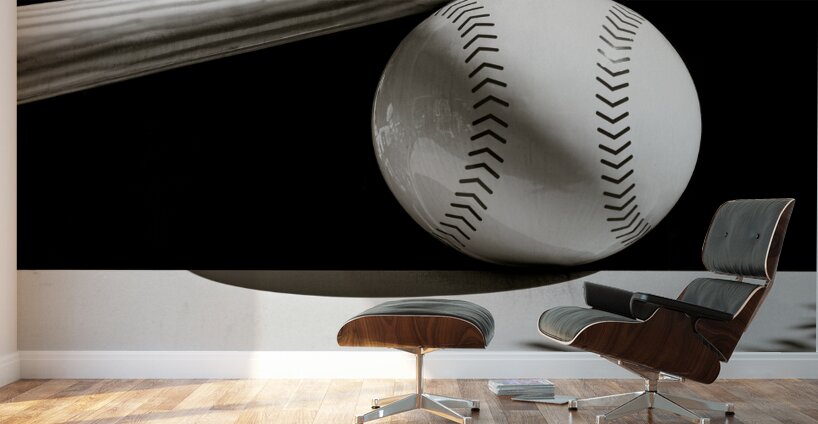 Bat and Ball Wall Murals