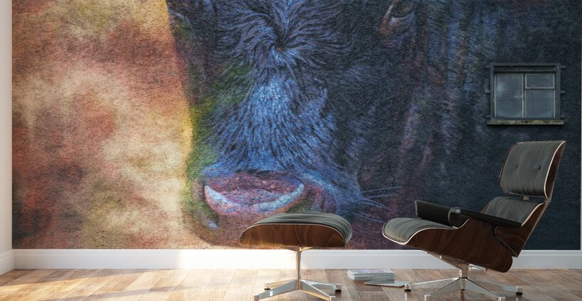 Ballymoney Cow Mural Wall Murals