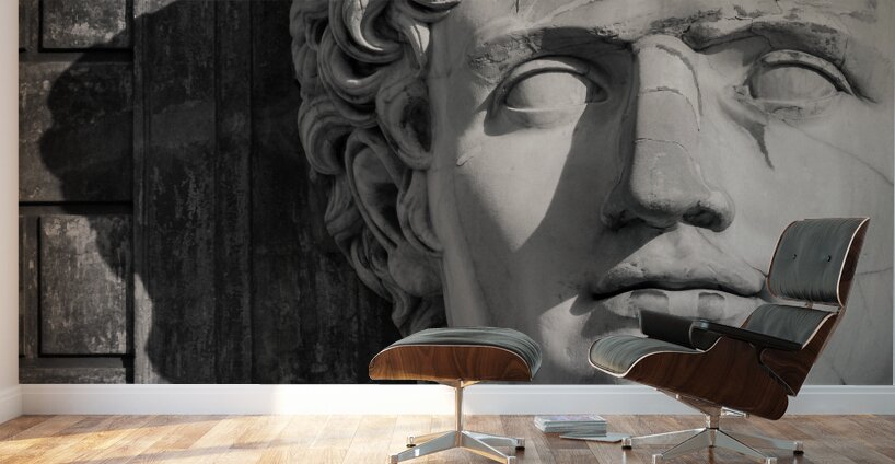 Augustus Wall Murals