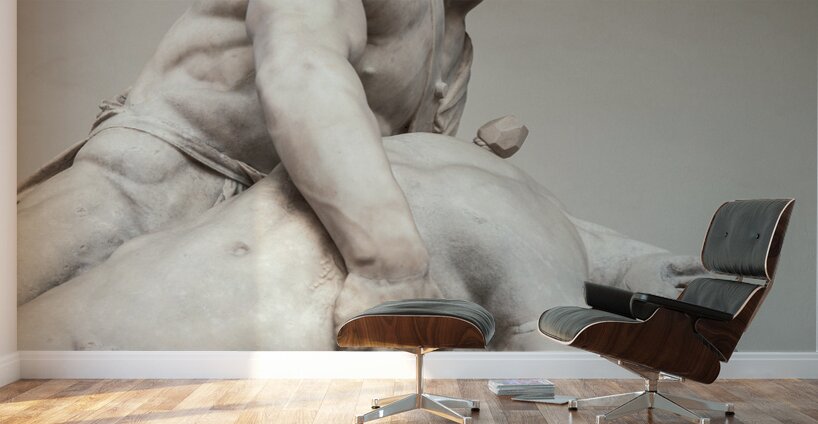 Menelaus Supporting the Body of Patroclus Wall Murals