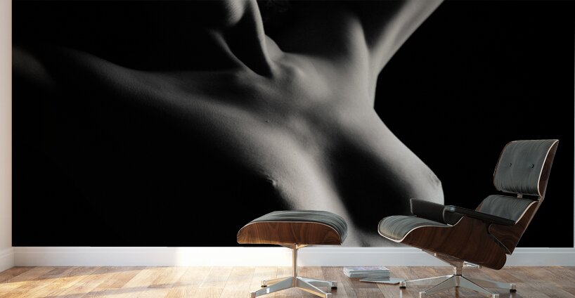 Nude Study No12 Wall Murals
