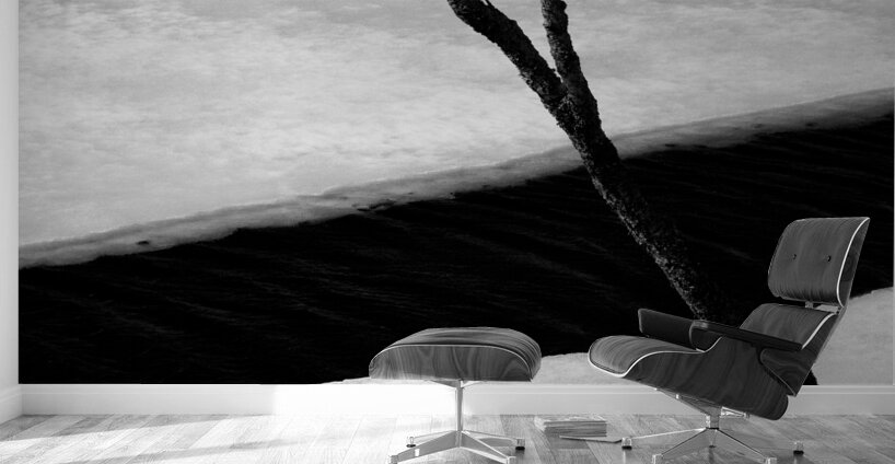 Tree and Ice Wall Murals