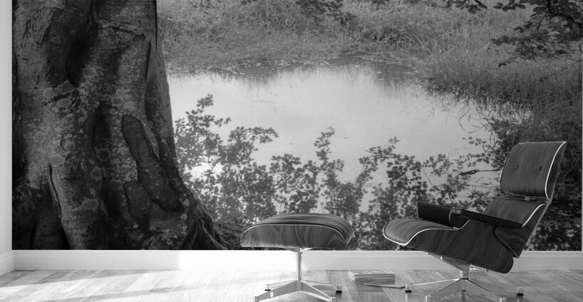 Summer Pond Wall Murals