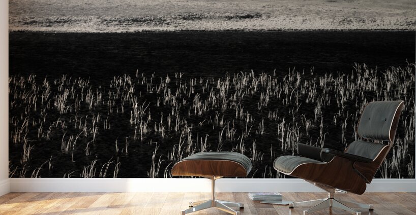 Loch Awe Reeds Wall Murals