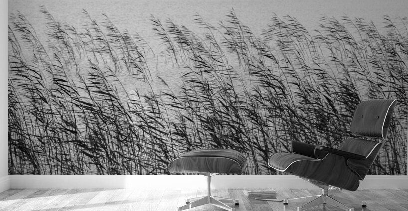 Uist Reeds Wall Murals