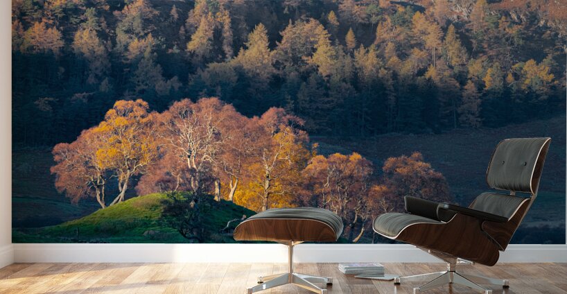 Autumn in Glenshee Wall Murals