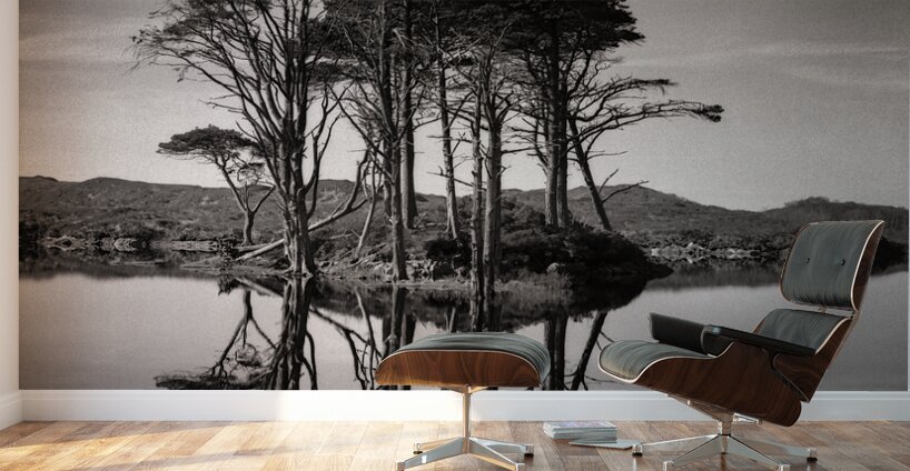Loch Assynt Reflection II Wall Murals
