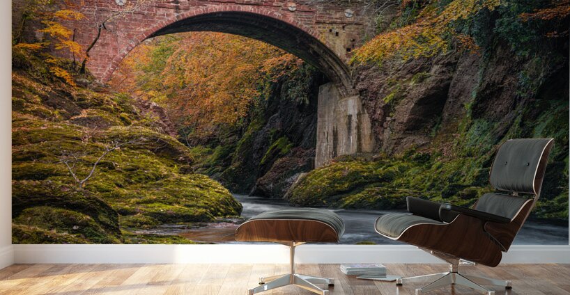 Gannochy Bridge in Autumn Wall Murals