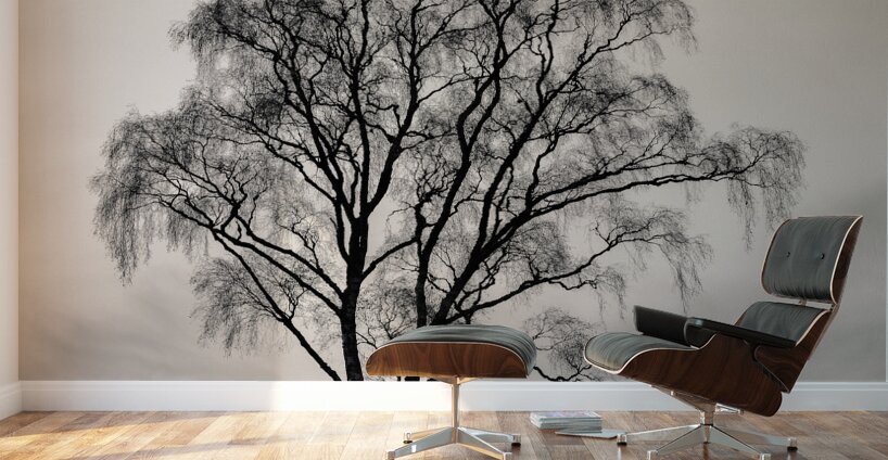 After The Leaves Have Gone Wall Murals