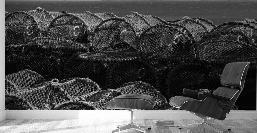 Barra Creel Nets Wall Murals