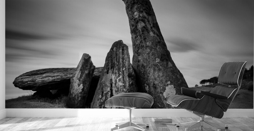 Cairnholy II Wall Murals