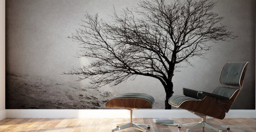 Winter Tree Wall Murals