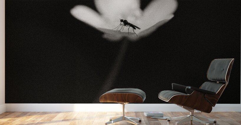 Woodland Study 1 Wall Murals