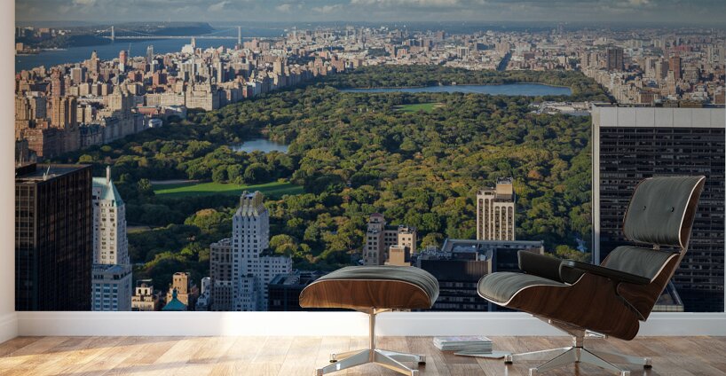 Central Park Wall Murals