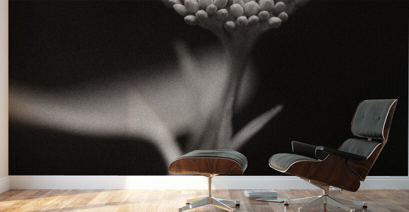 Woodland Study 4 Wall Murals