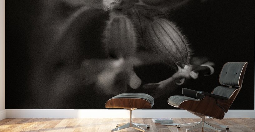 Woodland Study 9 Wall Murals