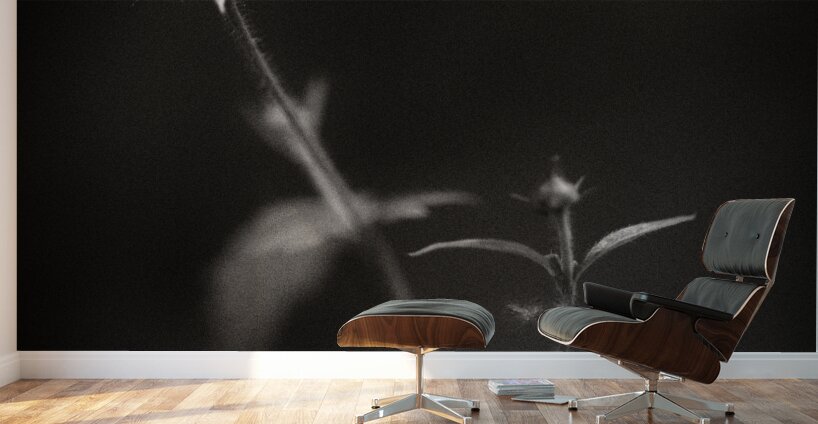 Woodland Study 3 Wall Murals