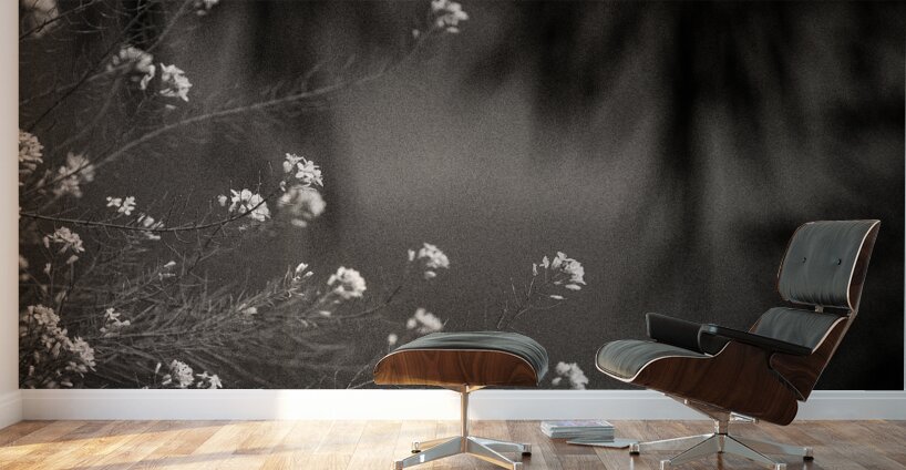 Woodland Study 12 Wall Murals