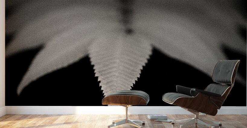 Woodland Study 8 Wall Murals