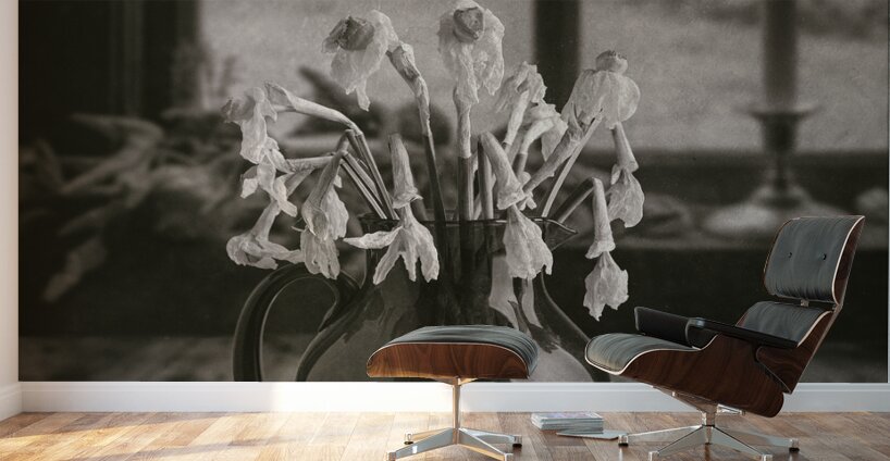 Dead Daffodils Wall Murals