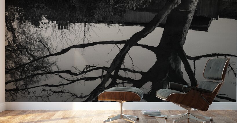 Dory on the Union Canal Wall Murals