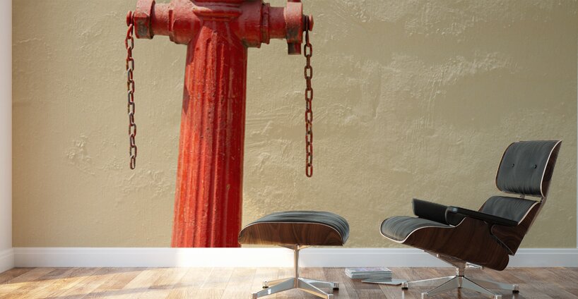 Penang Fire Hydrant Wall Murals