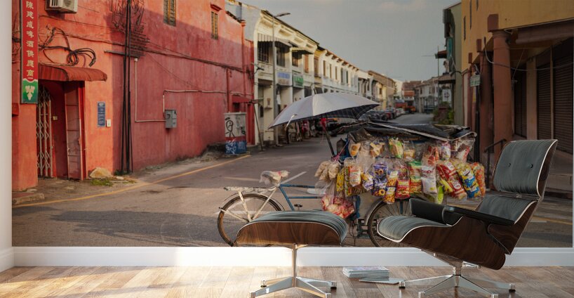Street Vendor Bike Wall Murals
