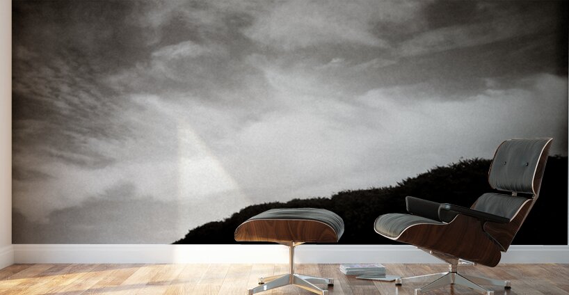 Forests Edge Wall Murals