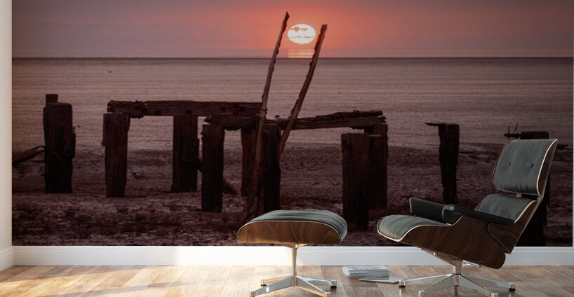 Grasping the Sun Wall Murals