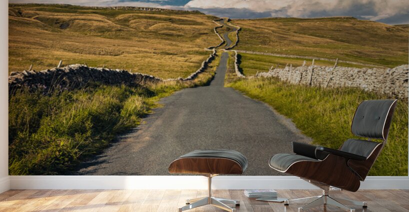 Road Through the Dales Wall Murals